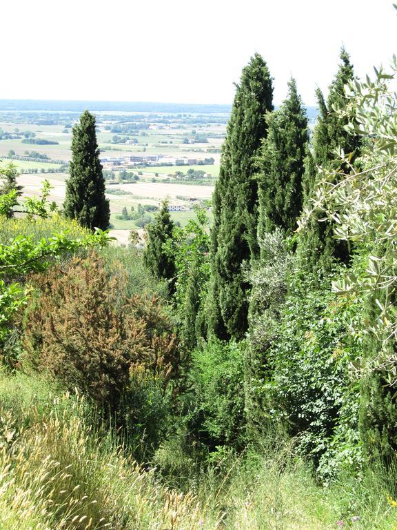 Agriturismo La Grotta San Giuliano Terme Esterno foto